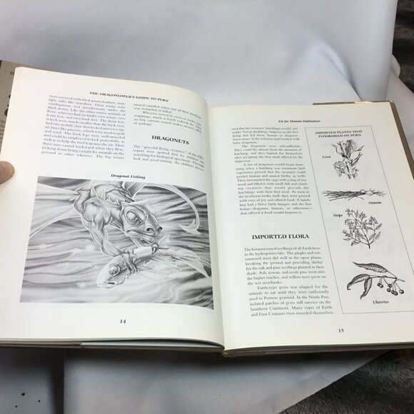 The Dragonlover's Guide To Pern by Jody Lynn Nye & Anne McCaffrey HC/DJ 1989 1st - Picture 14 of 16